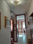  id.5088228