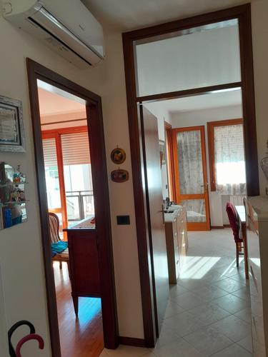  id.5088218