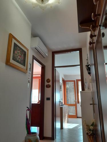  id.5088214
