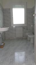  id.5104319