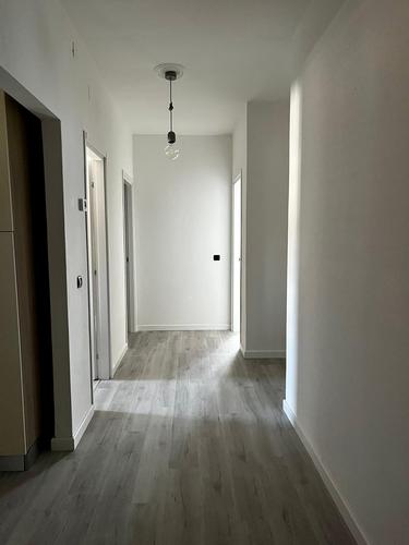  id.5108089