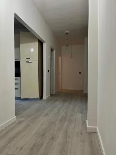  id.5108086